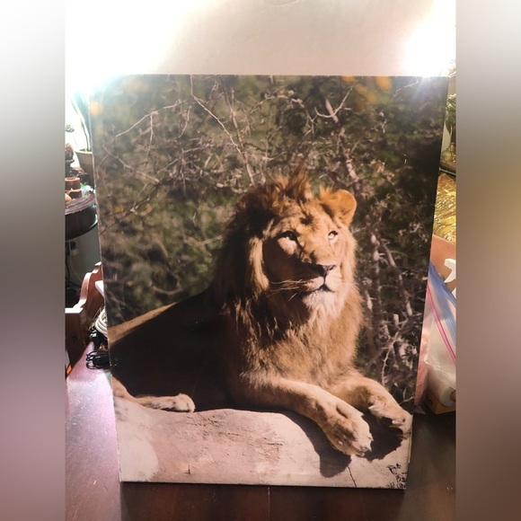 Lion On Canvas. 18” X24” - Picture 1 of 5